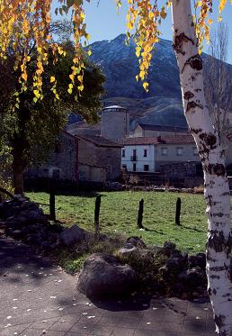 La Cervatina